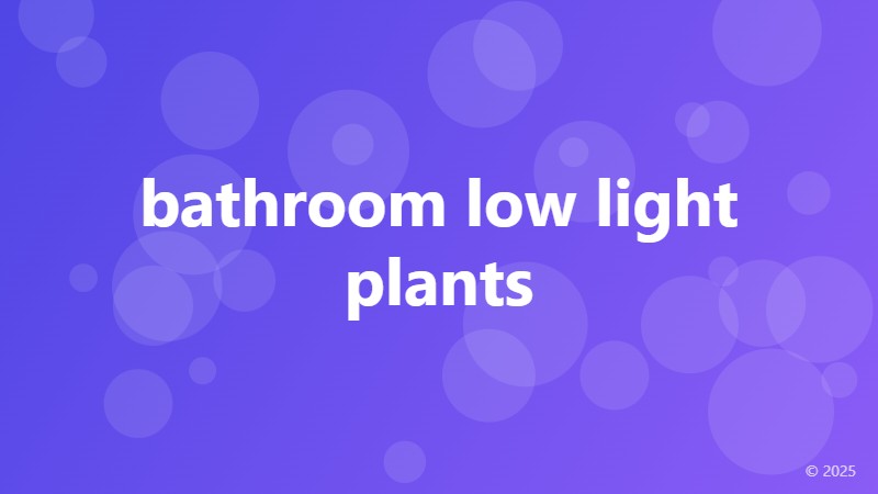 bathroom low light plants