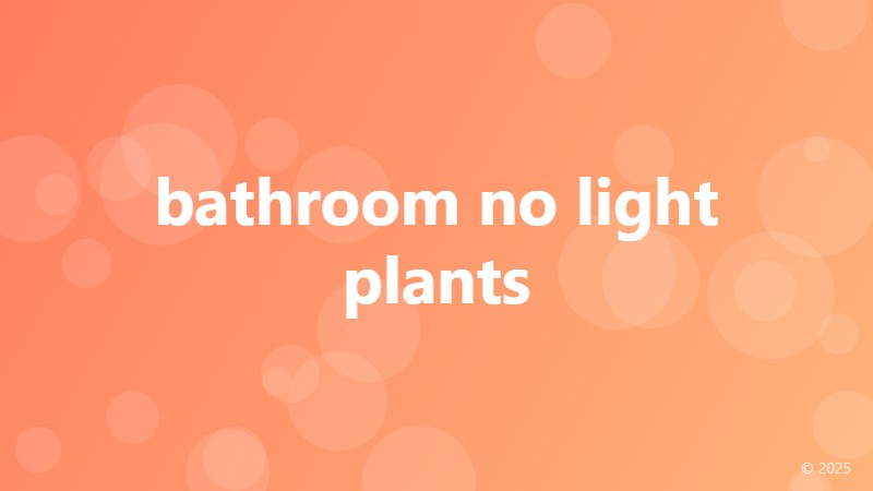 bathroom no light plants