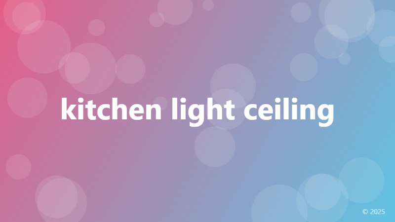 kitchen light ceiling